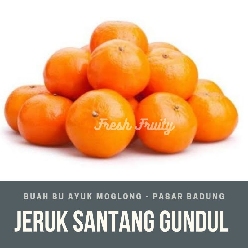 

santang gundul tanpa daun
