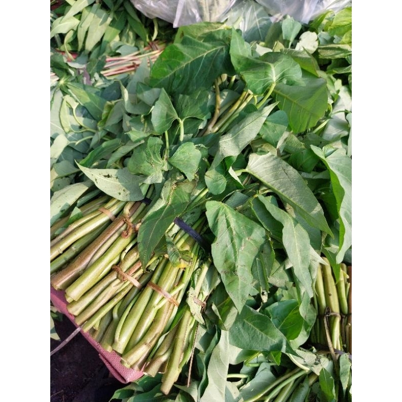 kangkung potong