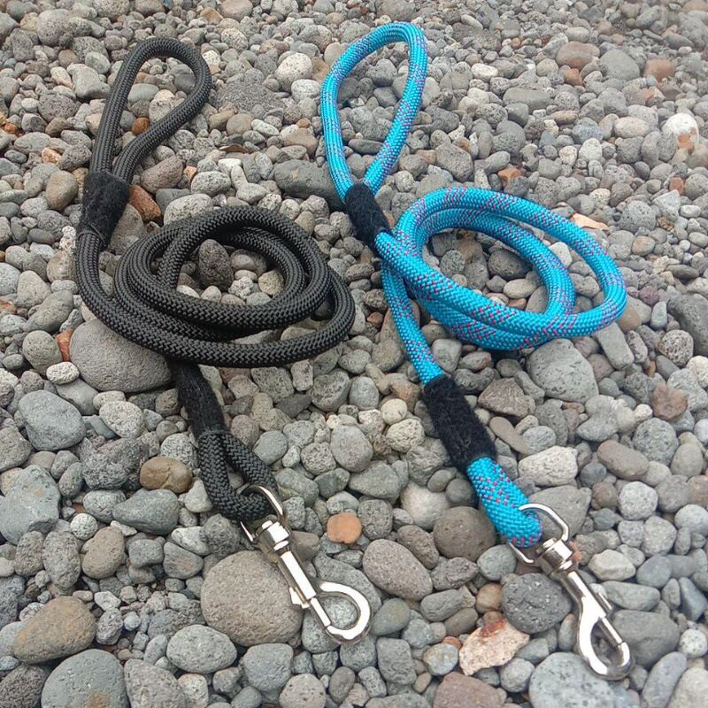 tali tuntun anjing - tali tuntun besar