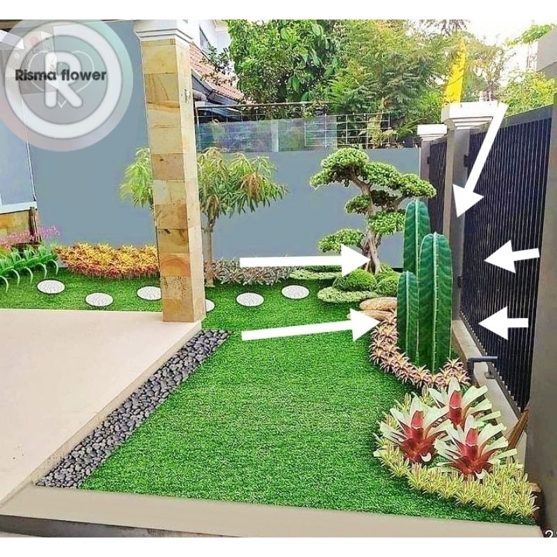 Tanaman hias pohon kaktus koboi ( pohon untuk taman minimalis cantik ) - tanaman untuk taman dirumah