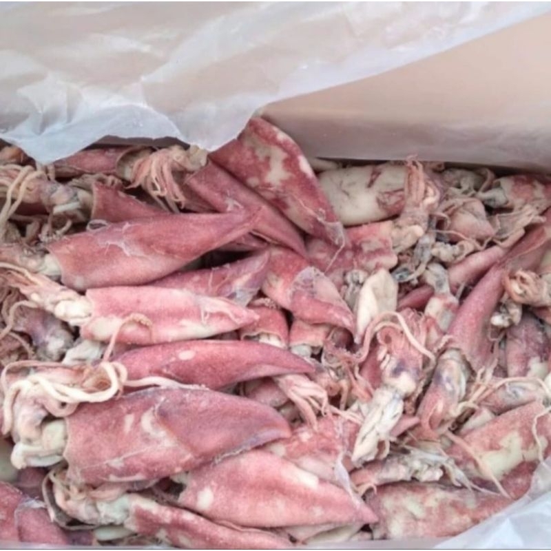 

Ikan asin kering, Cumi Sotong super, 1 kilogram, Higienis, GROSIR