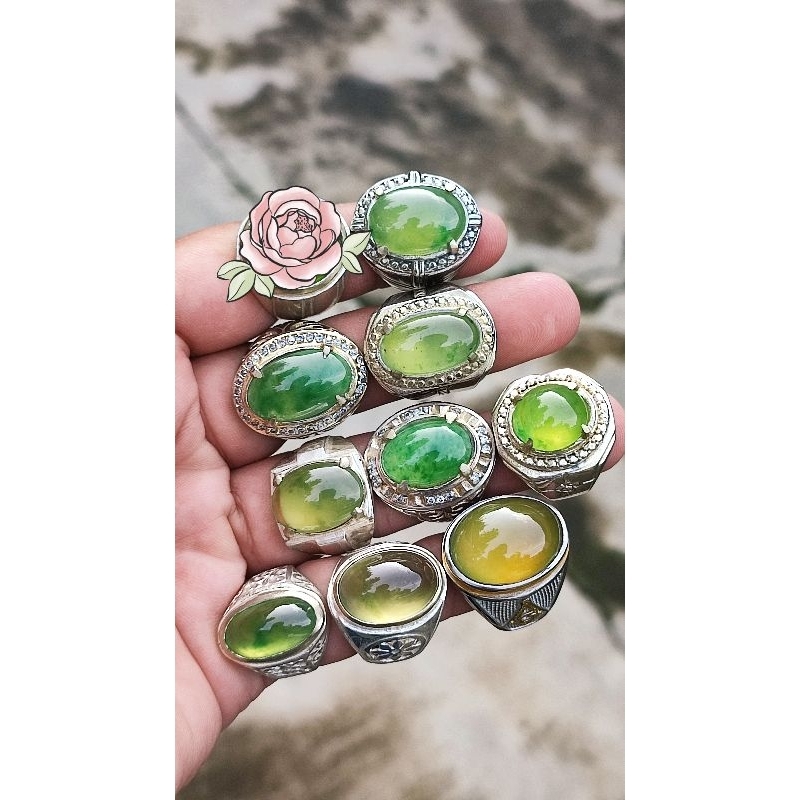 Lumut Sungai Dareh Natural