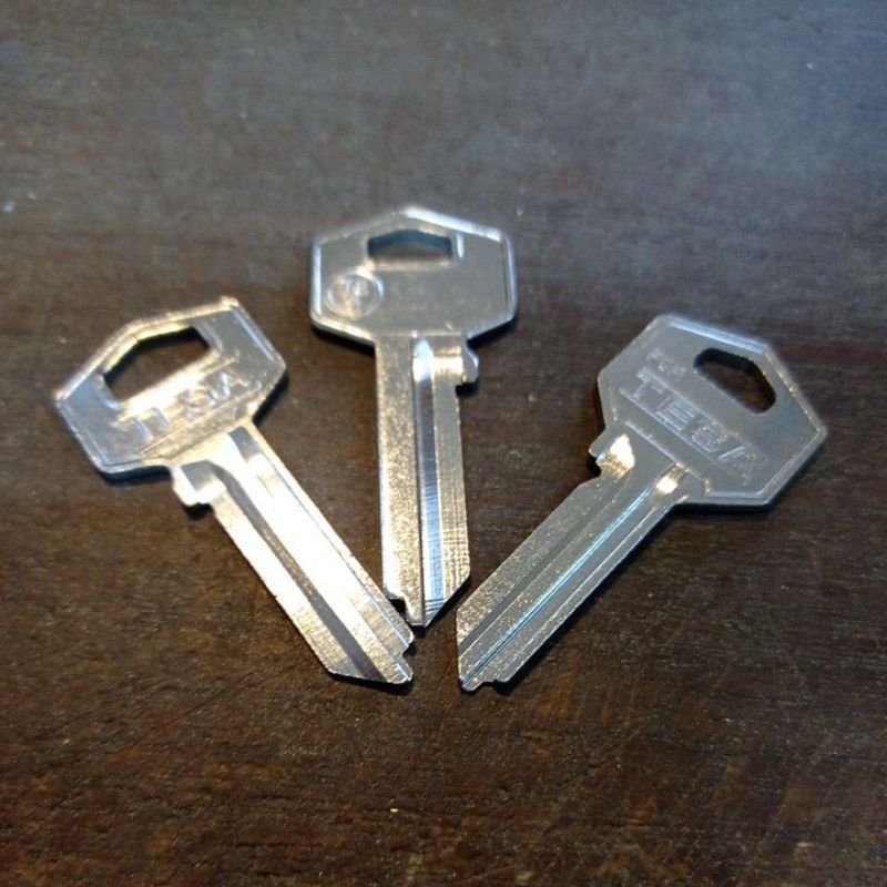 Bahan Duplikat anak kunci untuk jalur Tesa dengan kepala kotak