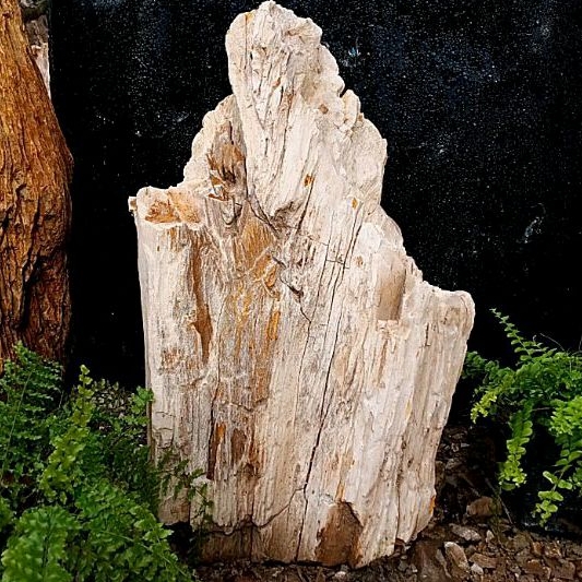 batu hias fosil kayu Cendana (111)