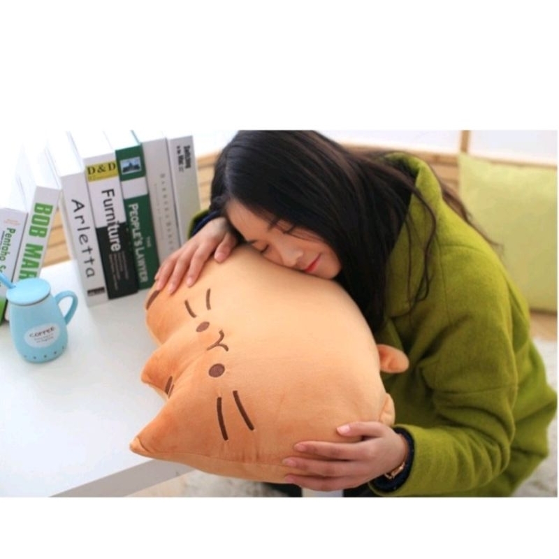 Mainan lucu Boneka Kucing lucu murah Bantal kucing pusheen halus dan lembut