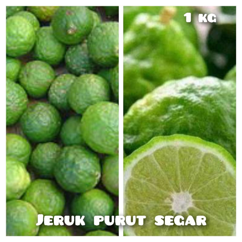 

JERUK PURUT SEGAR 1 KG