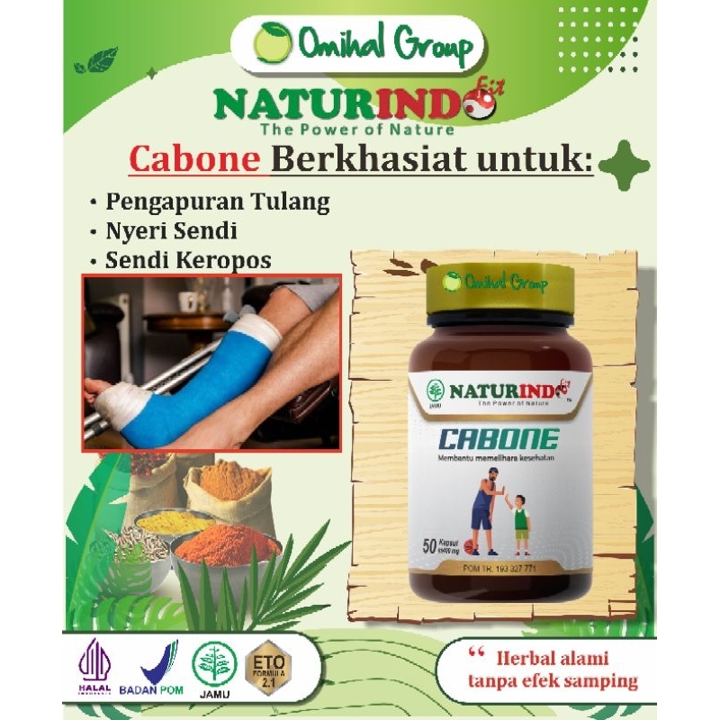 Obat Patah Tulang / Retak Penyambung Tulang - Nutrisi Tulang disertai Bengkak / Pembengkakan - Tulan