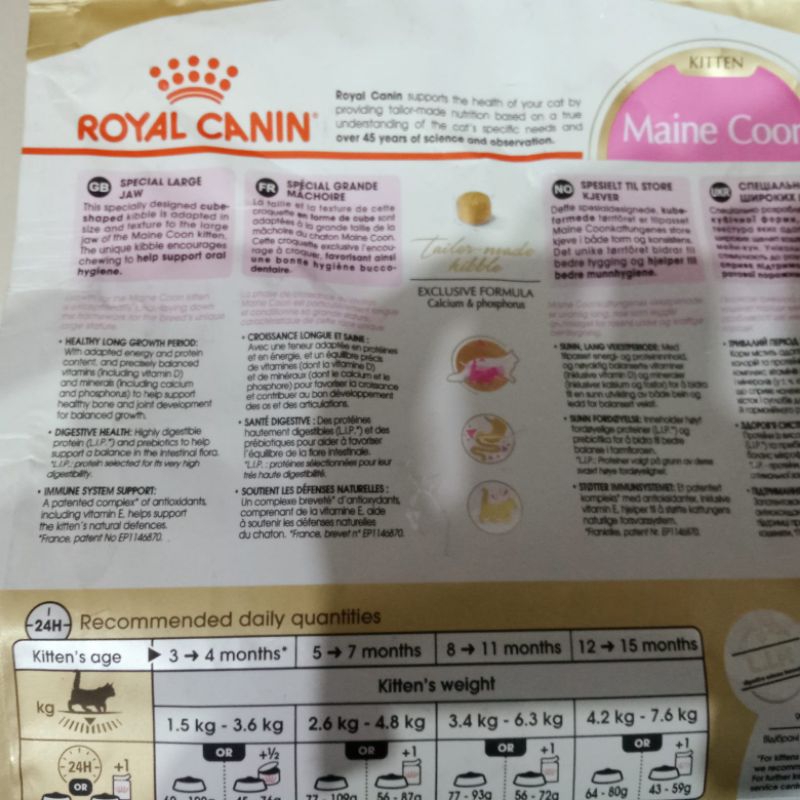 Makanan kucing RC Royal Canin kitten maine Coon 2 kg | makanan kucing anakan maine coon maincoon