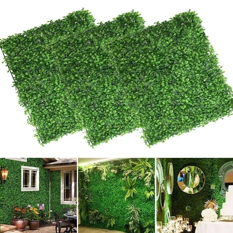 Rumput Lawn Alaska uk: 40x60 cm / Daun Dollar Rambat HIJAU