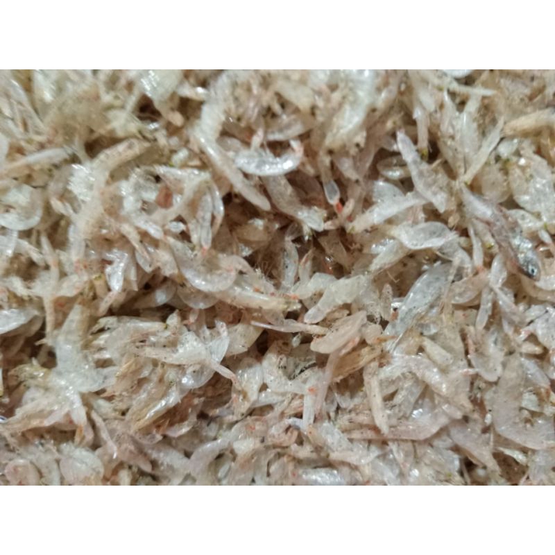 

udang rebon kasar super(asli tawar) 250gram
