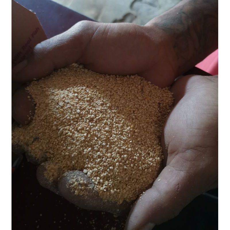 SBM / BKK bahan baku pakan ternak