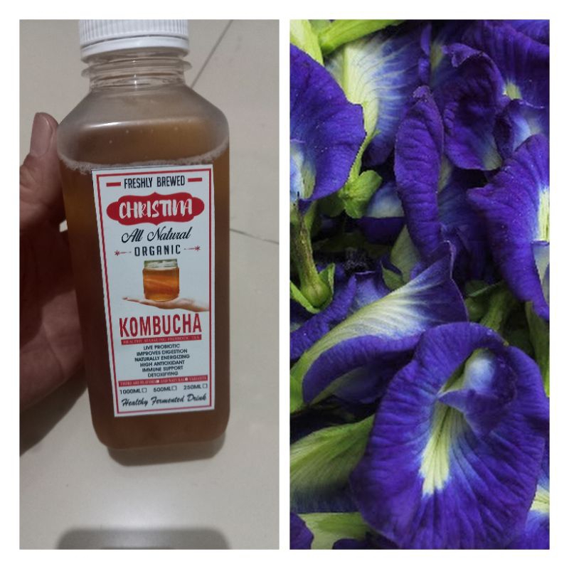 

teh kombucha fermentasi varian bunga telang ,batterfly pea , siap minum