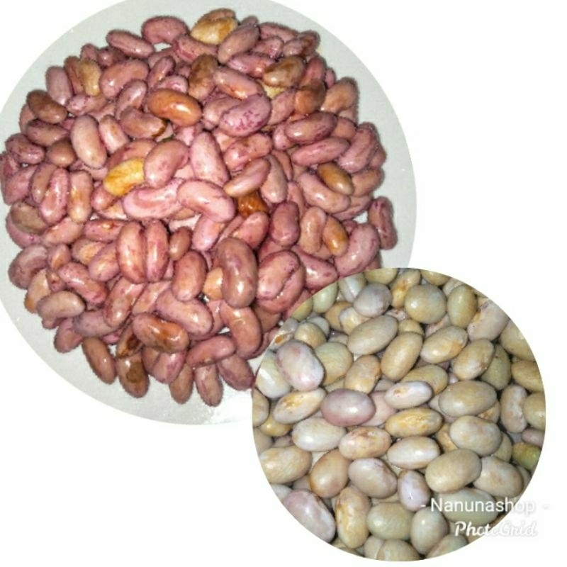 

Kacang merah dan kacang endul 250gr