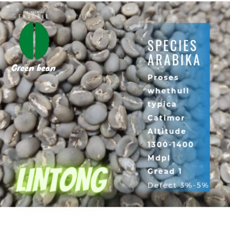 

GreenBean / Biji Kopi Arabika LINTONG - 1 KG - Whethull
