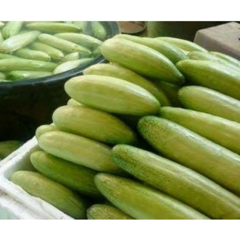 

Timun Baby Lalap Kecil