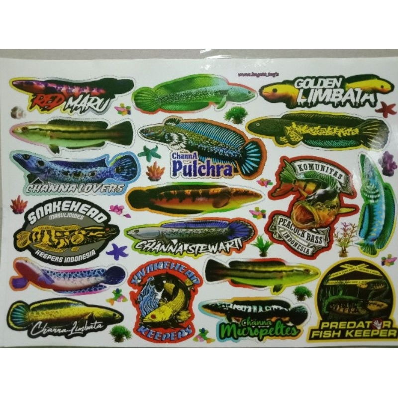 

12 lembar stiker ikan cana