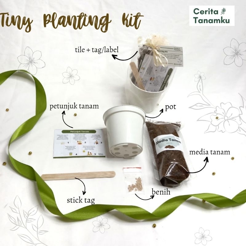 Souvenir Tiny Planting Kit | Hampers | Grow Kit | Gardening Kit