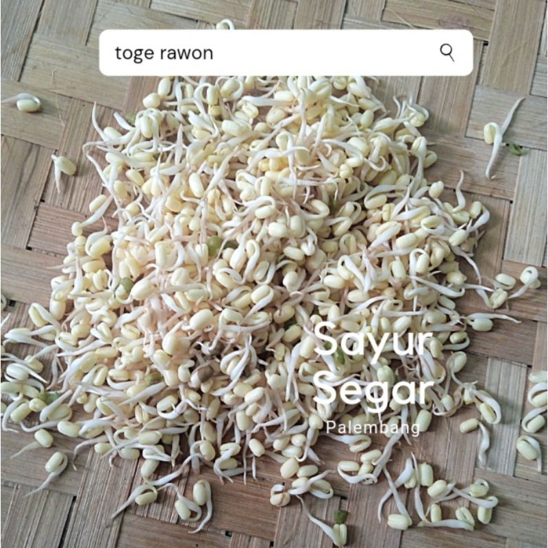 

Toge Soto 100 gr Sayur Segar Palembang