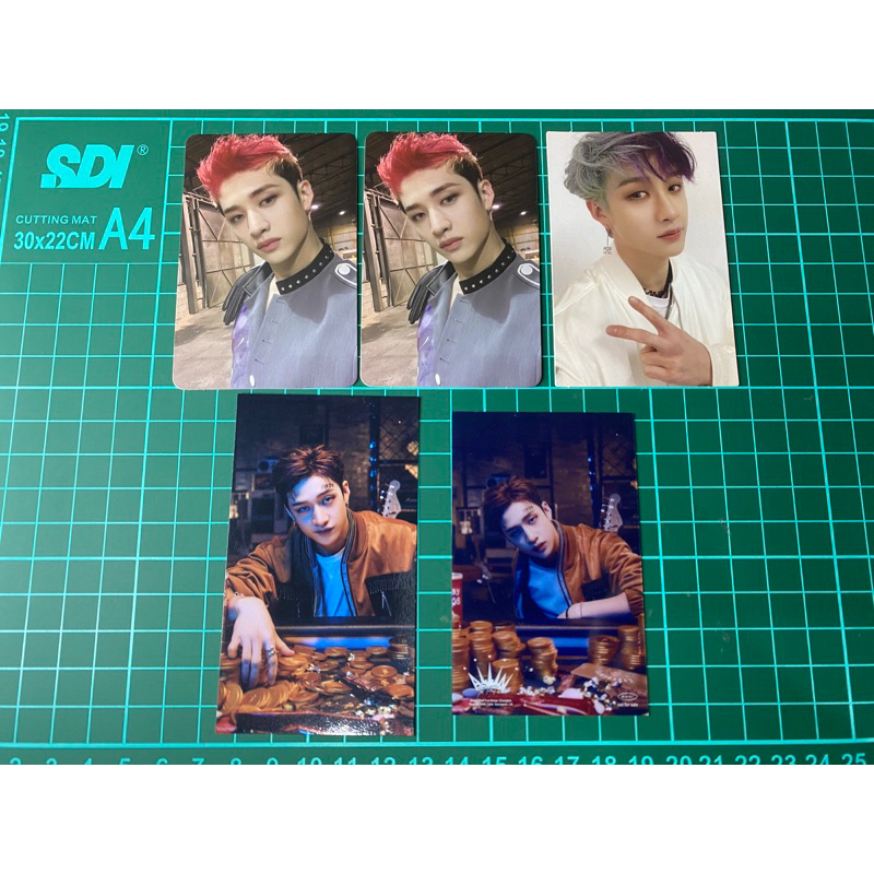 PHOTOCARD PC OFFICIAL BANGCHAN CHAN STRAYKIDS SKZ STRAY KIDS IN LIFE INSENG DOUBLESIDE DS GO LIVE CO