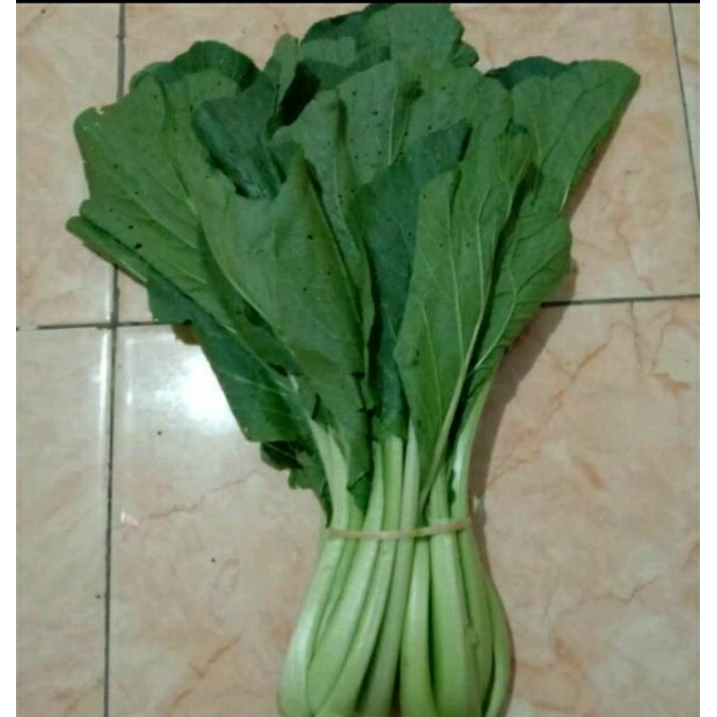 

Sawi hijau / sosin