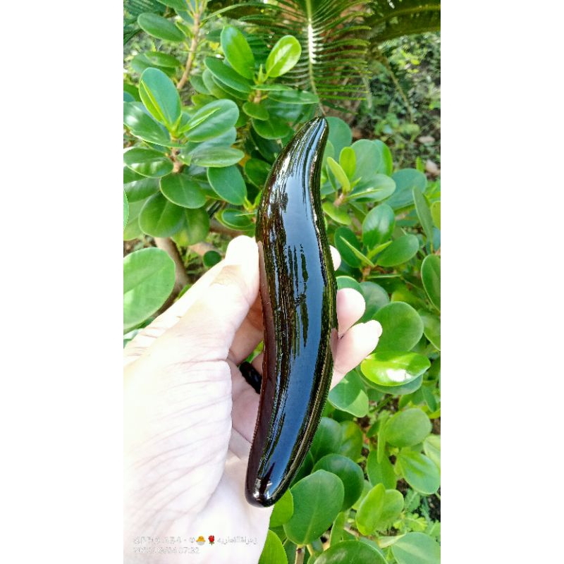 alat pijat kayu/alat pijat tradisional/alat kayu kelor hitam