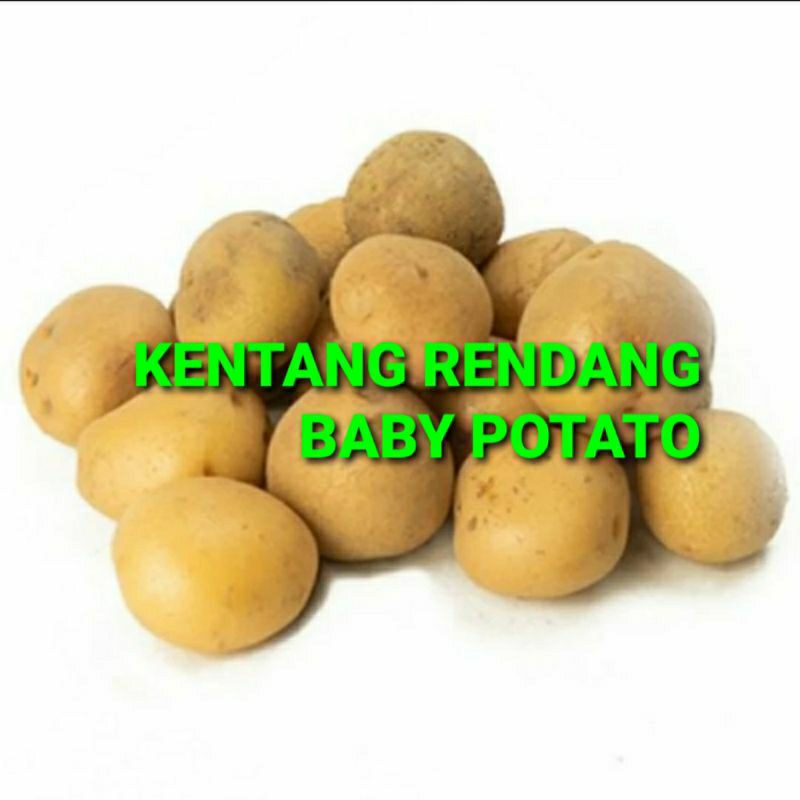 

KENTANG RENDANG BABY POTATO KHUSUS PARA SULTAN 1 KG (PREMIUM QUALITY)