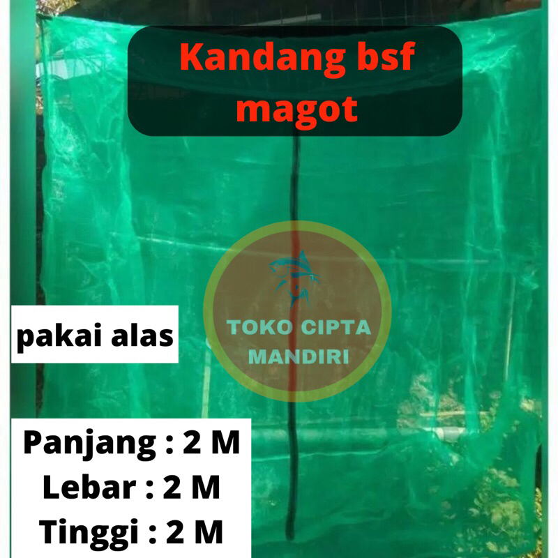 kandang lalat bsf magot kandang bsf magot 2x2x2 alas kandang magot