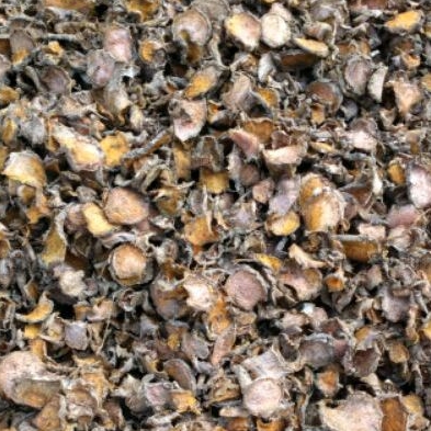 

Kunyit Kering Iris/Rajang Organik 500gr
