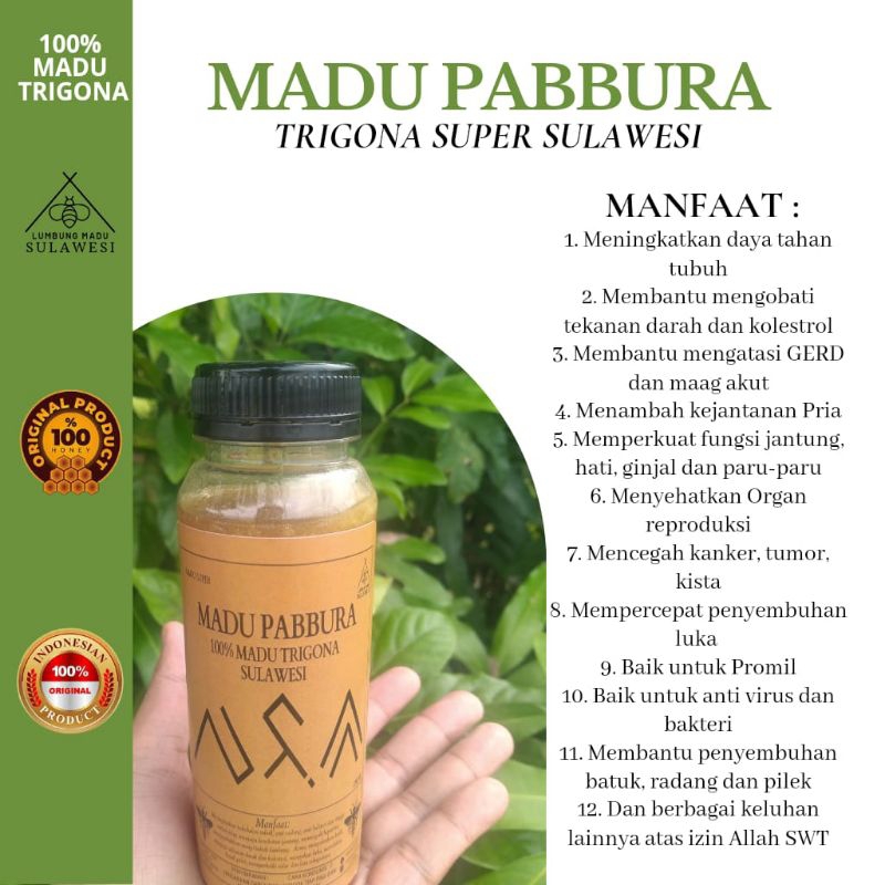 

MaduTrigona Pabbura asli hutan sulawesi