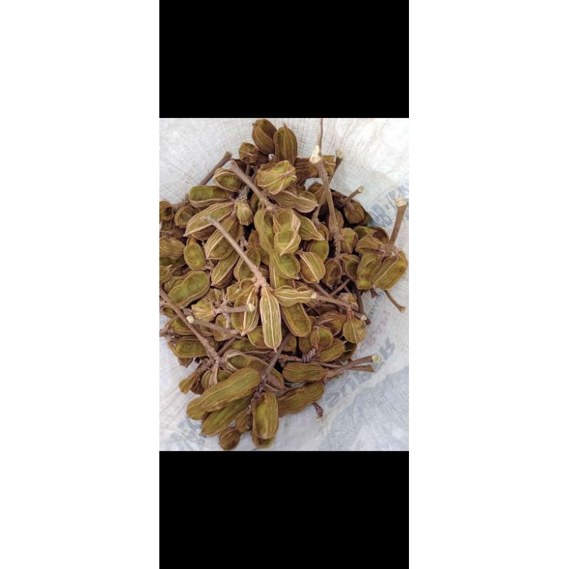 

buah es fresh 1 kilo