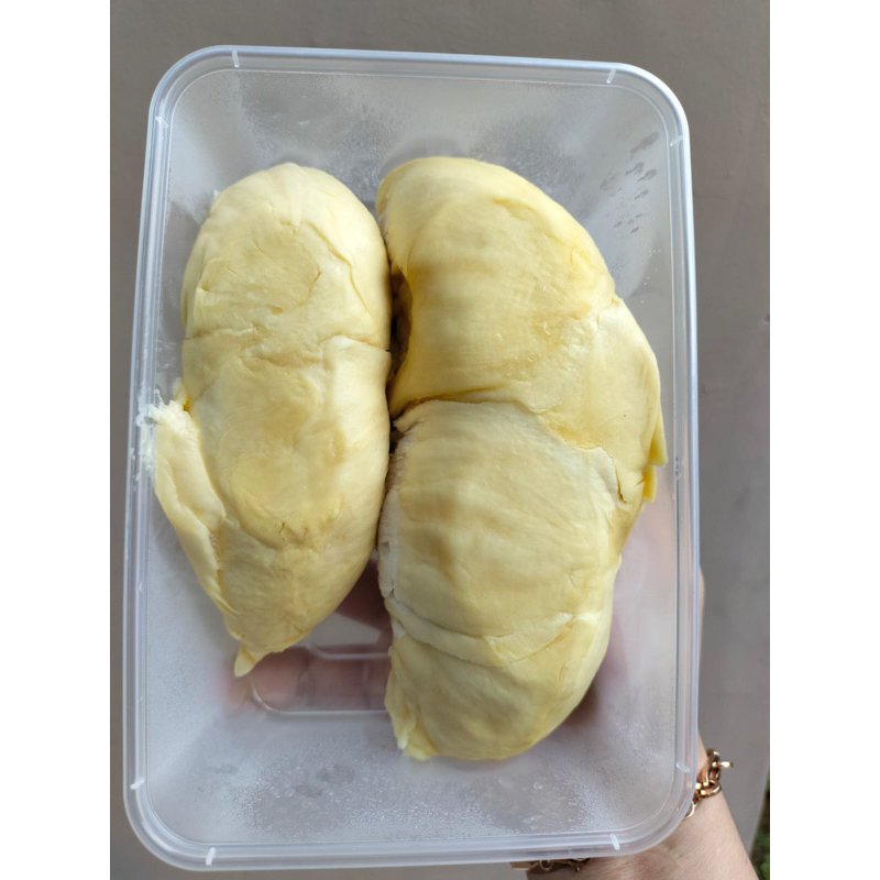 

Durian Montong Palu