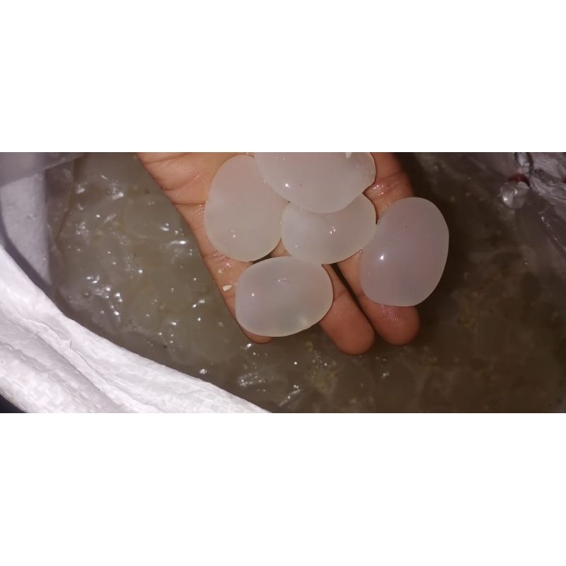 

Kolang Kaling/Caruluk Super