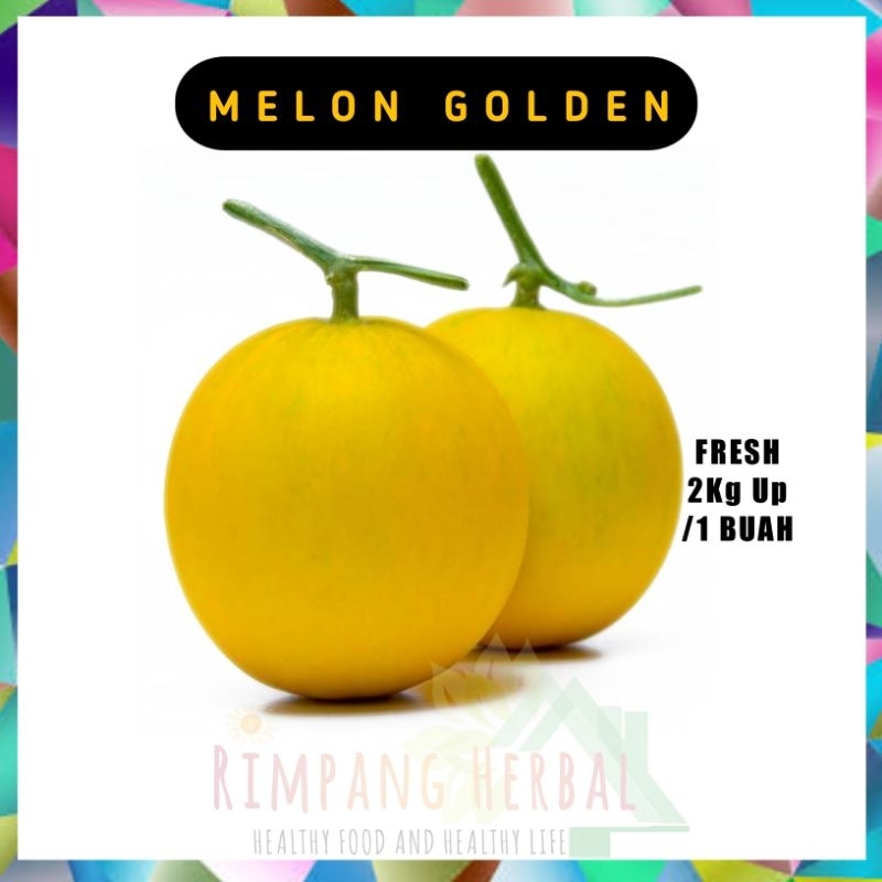 Melon Golden 1 Buah Segar 2kg Up