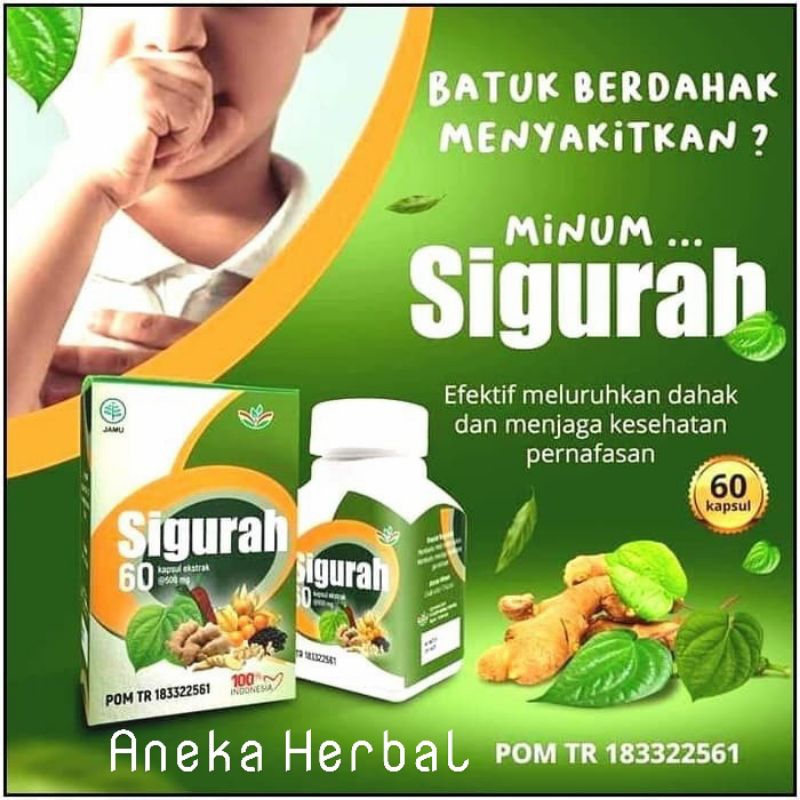 Kapsul SIGURAH 60 kapsul obat batuk berdahak tenggorokan flu