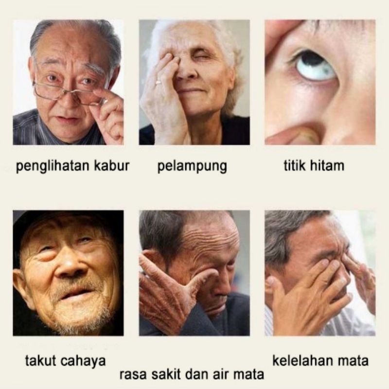 Obat Tetes Mata Shi Li Wang Xion Dan Ye/Healthy Eye Care