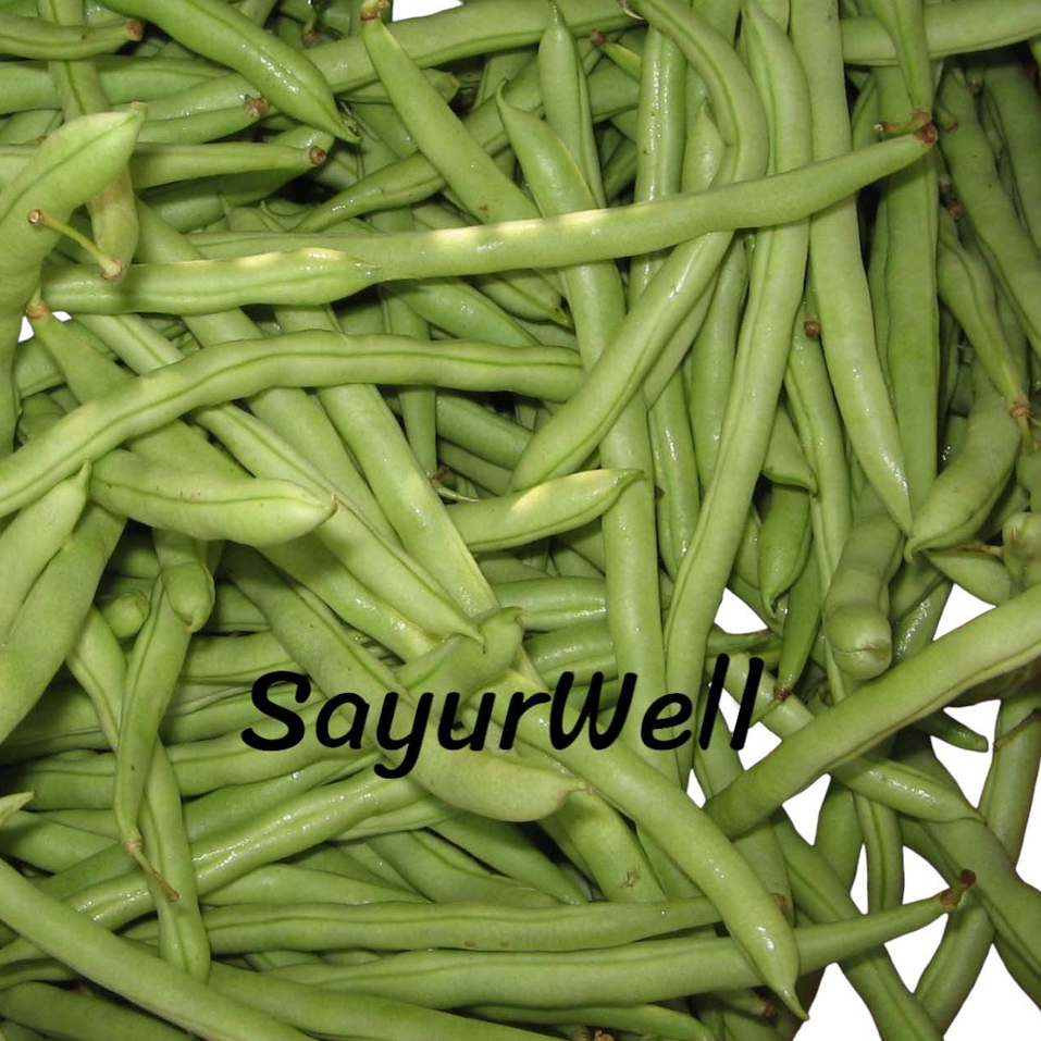 

Buncis Sayur Segar 250Gr , 500Gr ,1Kg