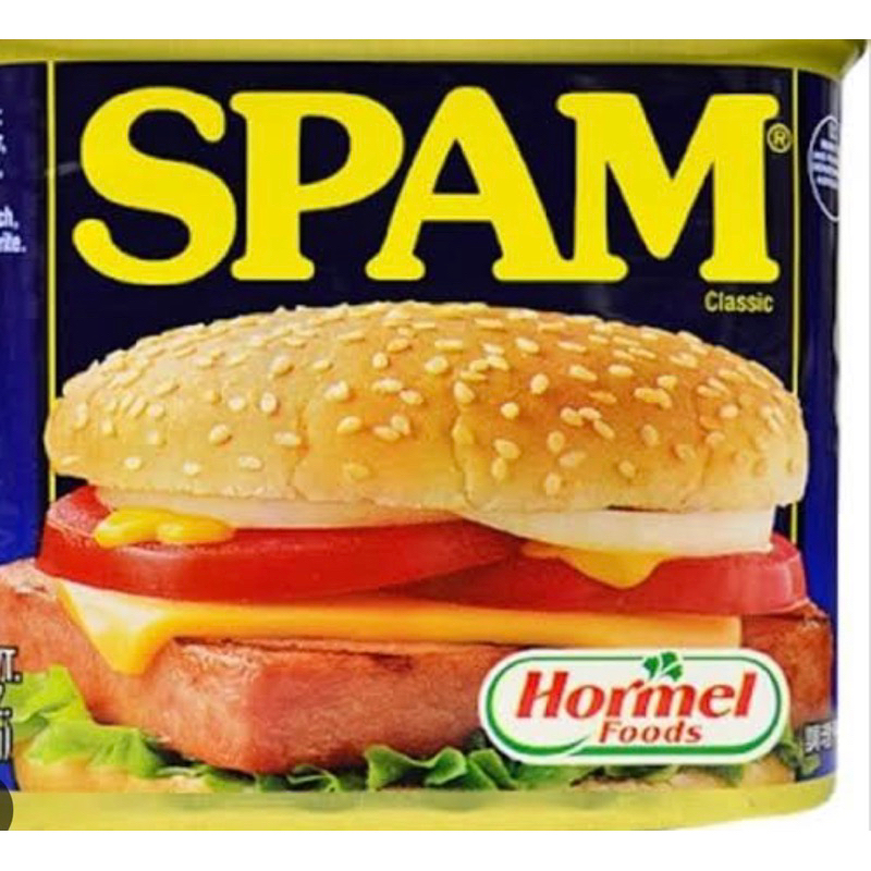 

spam classic burger 340gr