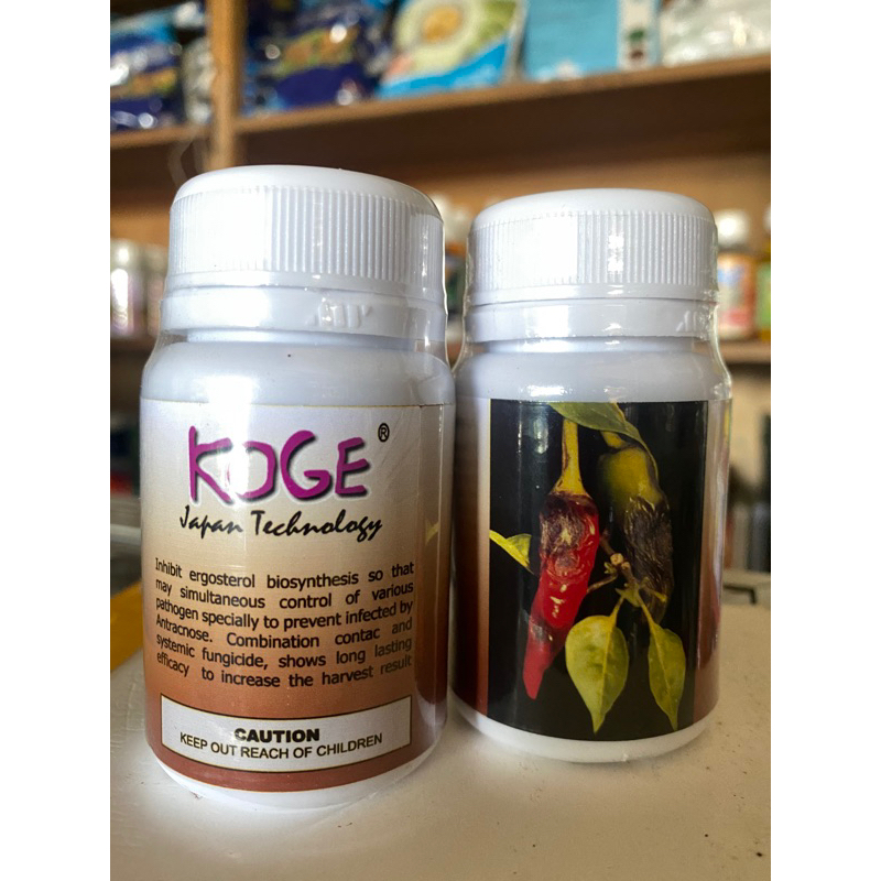 KOGE JAPAN TECHNOLOGY 50gr FUNGISIDA Patek, Cacar, dan Busuk Buah