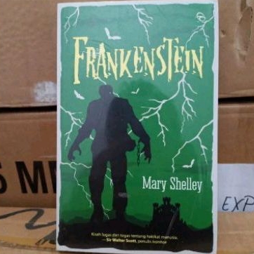 FRANKENSTEIN - MARY SHELLEY