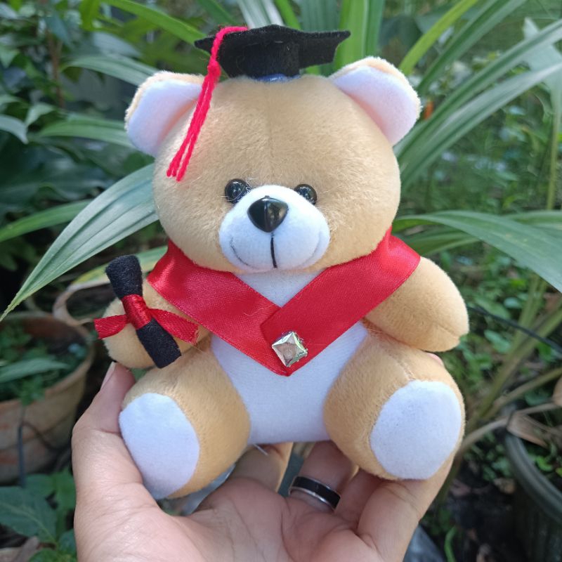 BONEKA BERUANG VELBOA / BONEKA BUKET / BONEKA WISUDA