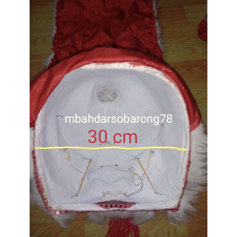 Barongsai lampu mata nyala dan kedip diameter 30 cm