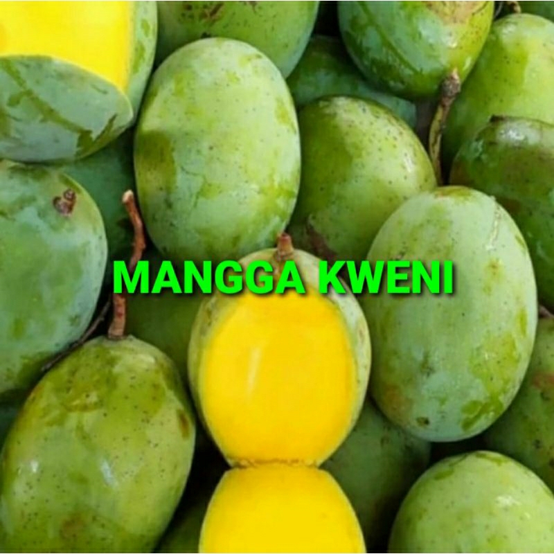 

MANGGA KWENI KHUSUS PARA SULTAN 1 KG (PREMIUM QUALITY)