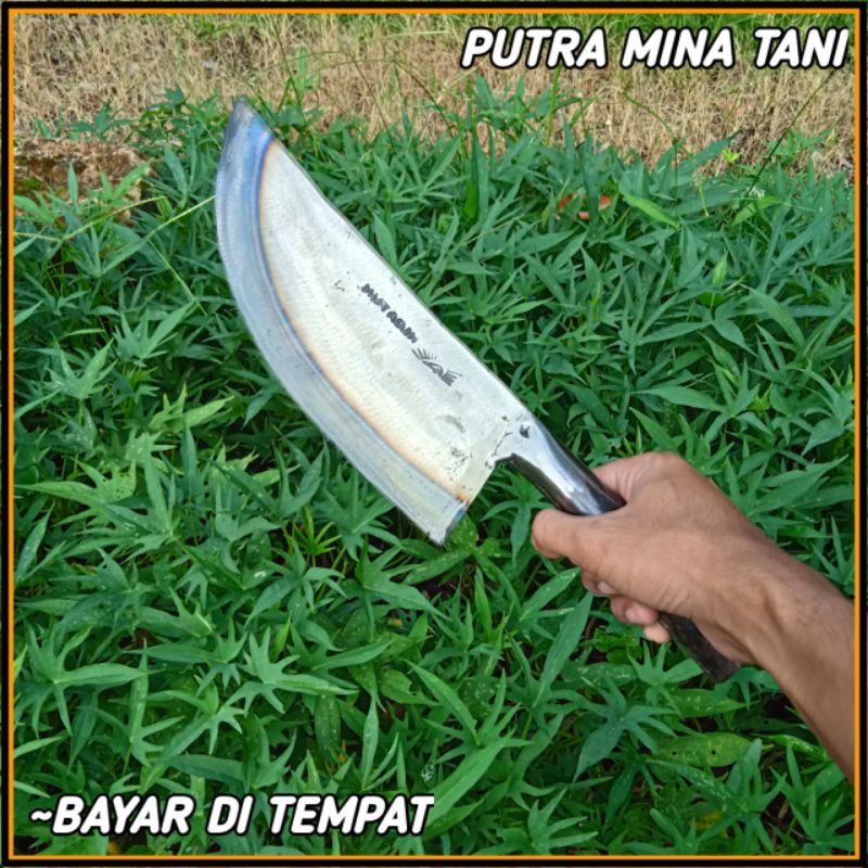 FREE PISAU USUS - PISAU CACAH DAGING BILAH LAS - PISAU PER BAJA SUPER TEBAL - PISAU PEMOTONG SEGALA 