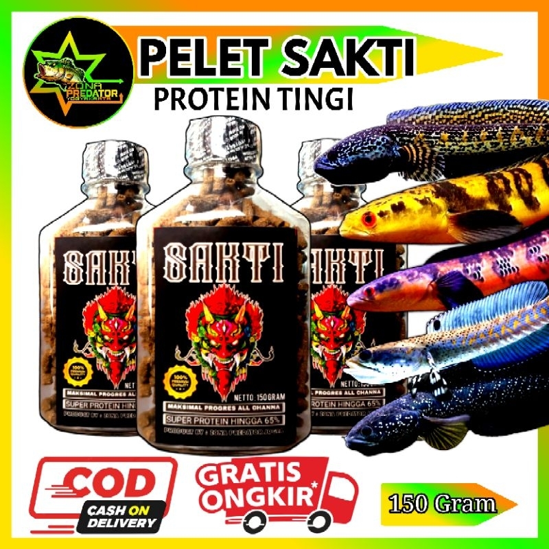Pelet SAKTI 150Gram Pakan Channa Maru Auranti Pulchra