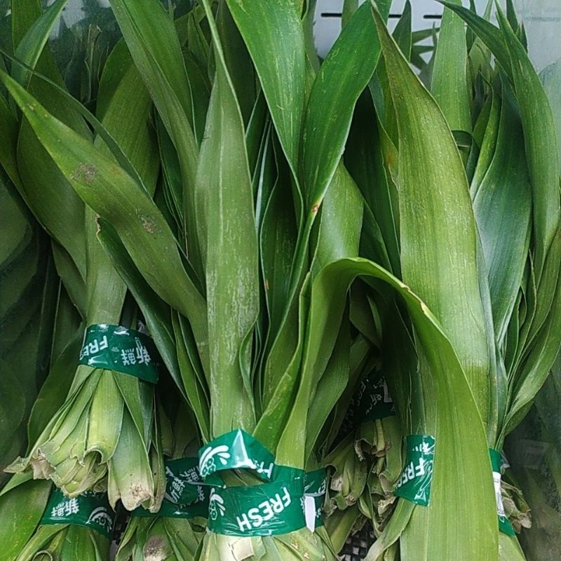 

Daun Suji Segar per ikat Denpasar Bali