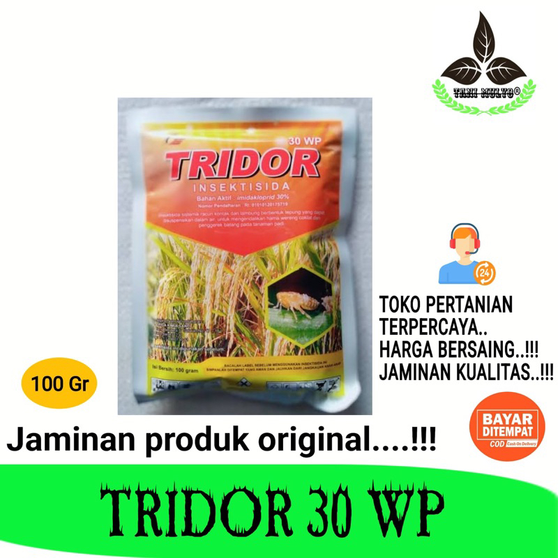 TRIDOR 30 WP 100 GR