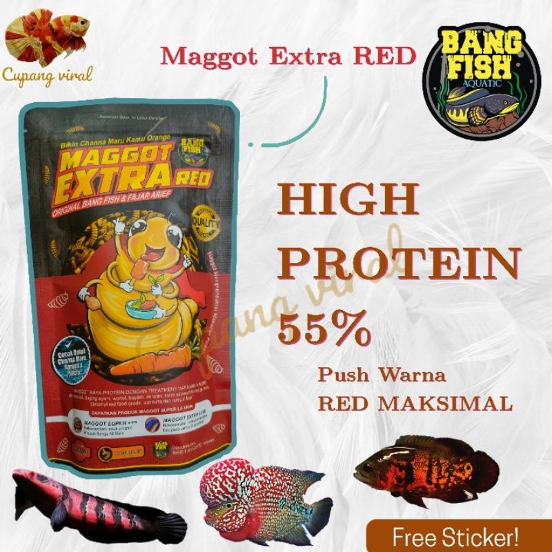 Maggot Extra Red BANG FISH AQUATIC Tinggi Protein Channa Red