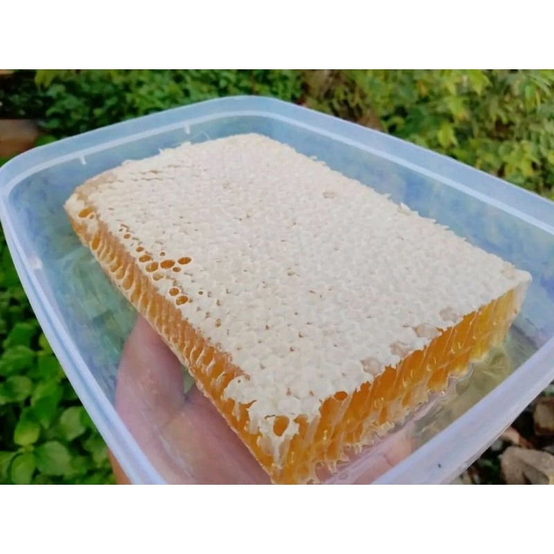 

madu asli madu sarang fresh 250 gram