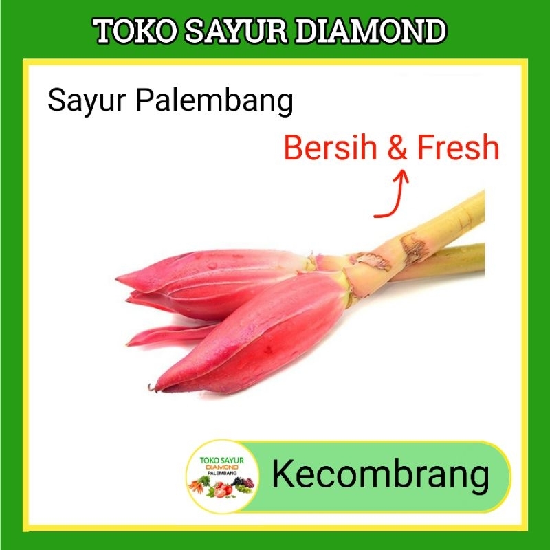 

Kecombrang Fresh Palembang