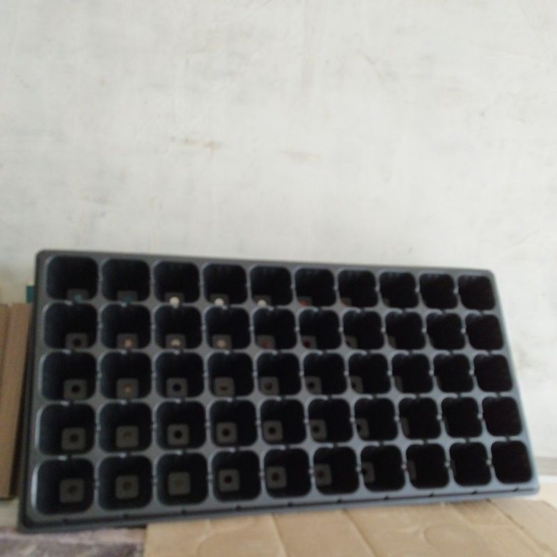 (medan)TRAY SEMAI 50 LUBANG